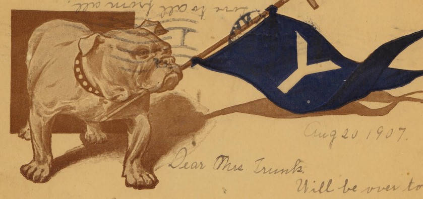 A 1907 postcard of Handsome Dan, the Yale mascot